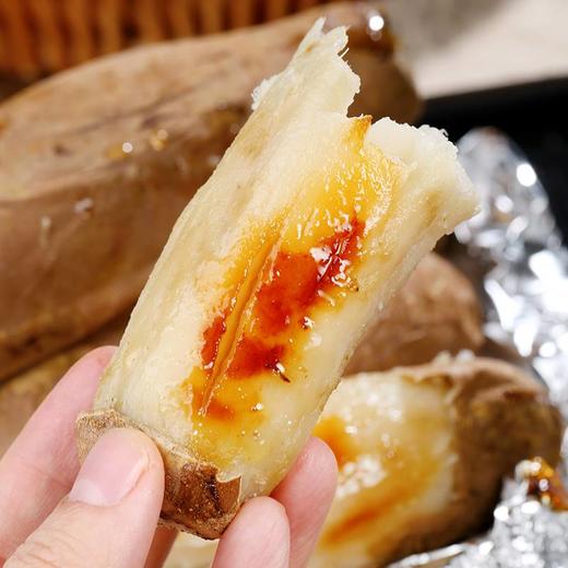 山东哈密薯，皮薄、粉糯香甜、细腻，吃完一个还想接着吃，烤、蒸、煮都好吃！ 商品图1