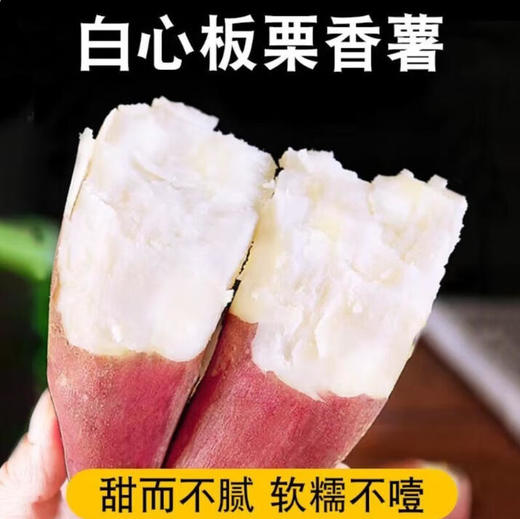 葫芦岛山庄山土地地瓜纯天然不打农药不施化肥非转基因15斤装包邮 商品图7