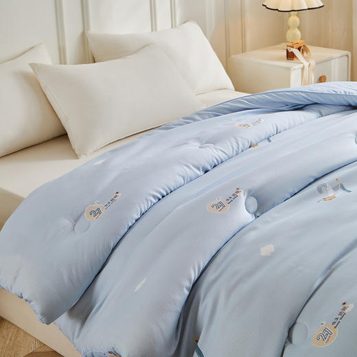 红豆恒温助眠冬被HD-DB250810 商品图2