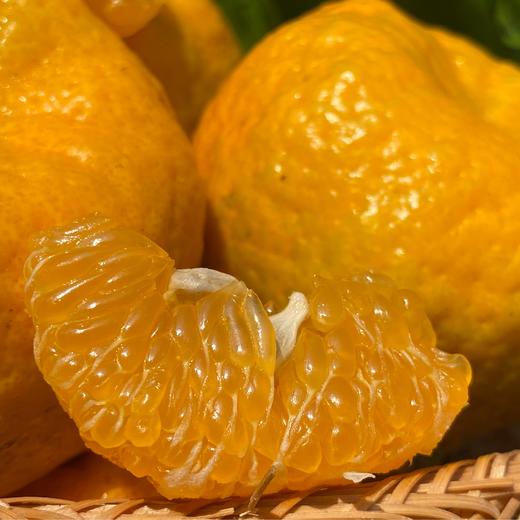 柠檬君椪柑  生态种植当季新鲜水果【顺丰包邮】 商品图3