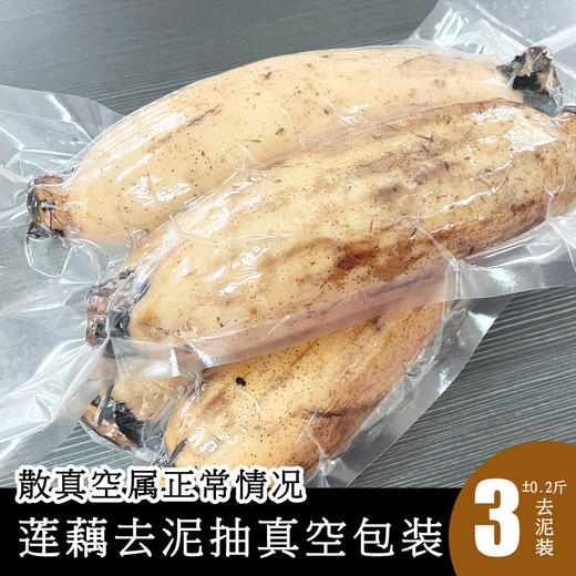 湖区有机莲藕粉藕  粉糯鲜藕现挖现发蔬菜【顺丰快递】 商品图0