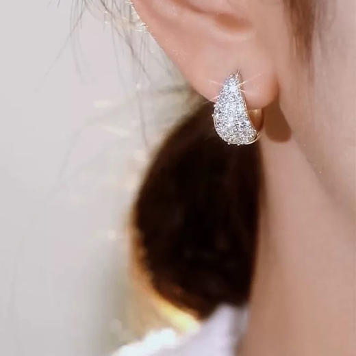 轻奢精致气质耳圈耳环-纪念日百货门店同款167443461 商品图4