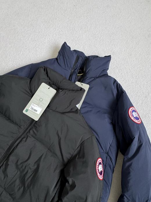 D110240国标90绒LAWRENCE系列立领拉链款羽绒服 商品图1