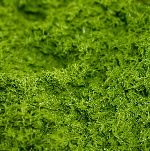 迪拜巧克力 商品图1