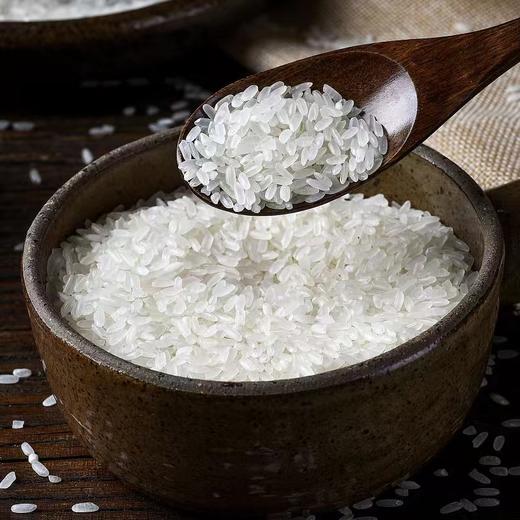 五常大米2025新米原粮稻花香2号执行标准GB/T19266五常基地直发5公斤真空包装 商品图3