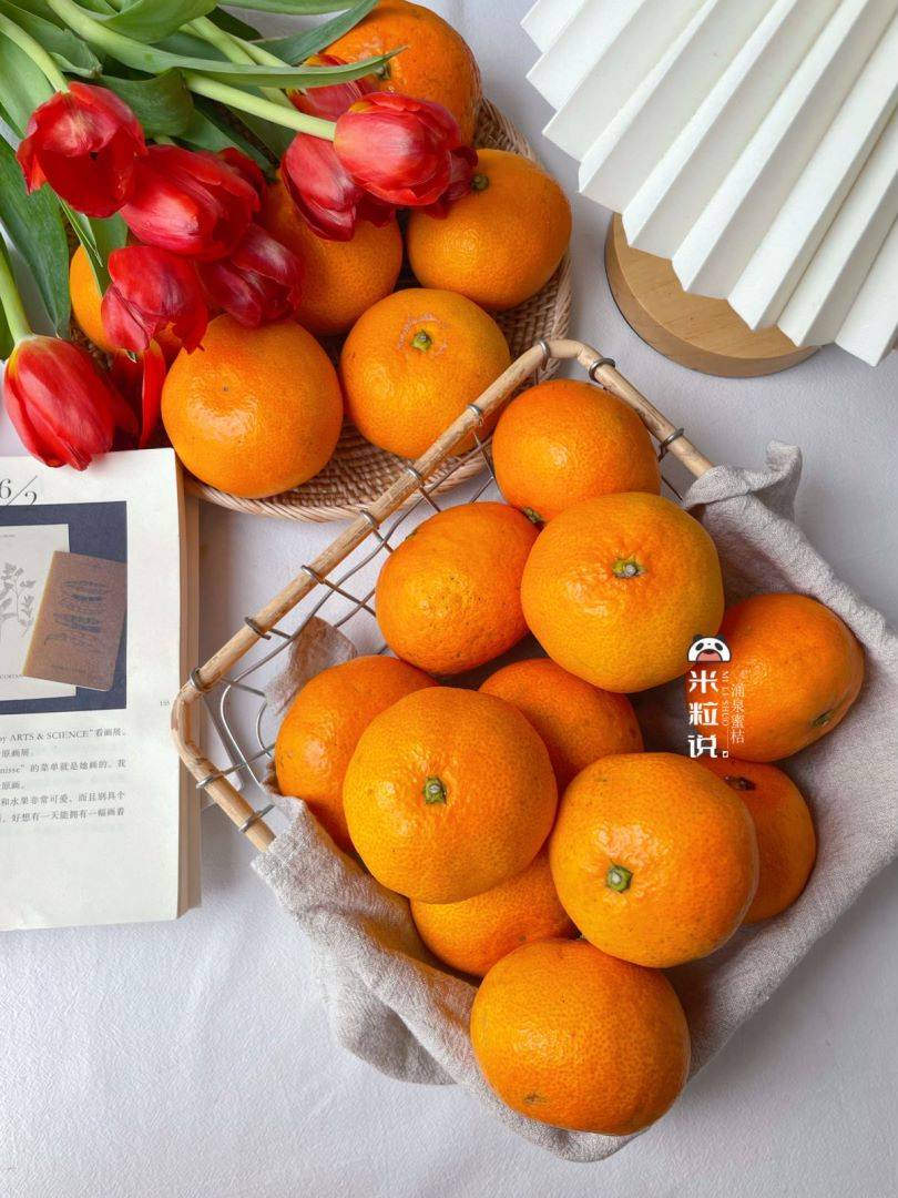 【涌泉蜜桔】国家地理标志产品 可带皮吃！更过瘾！皮薄无核 汁水爆多 闻名中外的无核蜜桔之乡！高山种植 物理除虫 不打腊-CC
