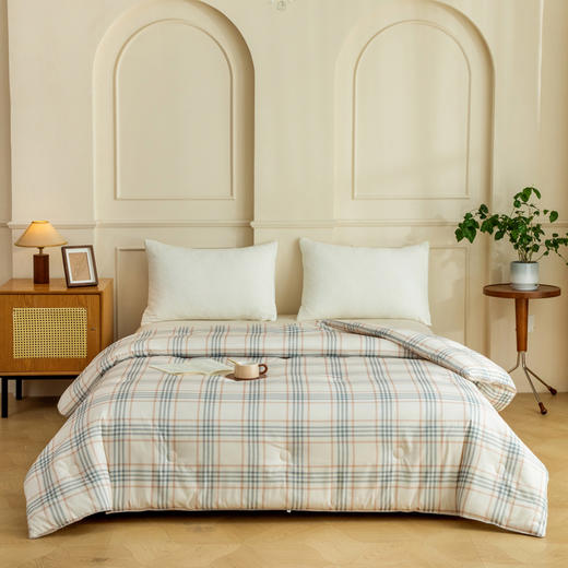 無印良品恒温大豆保暖被pro2.0MJ-B25-72 商品图0