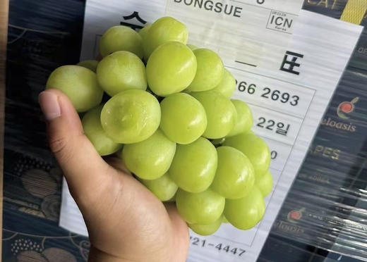 【进口】韩国晴王，扫码溯源，正宗！低调不失格调，幸福从一颗脆爽甜蜜的晴王开始，馥郁花香！ 商品图1