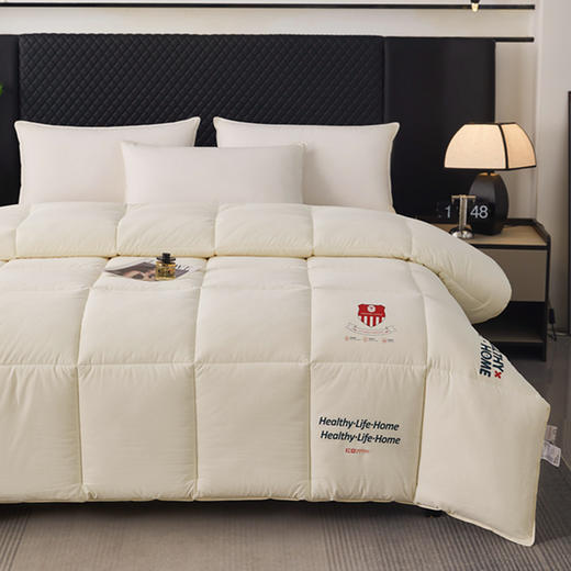 红豆轻奢云朵暖冬被HD-DB250801 商品图2