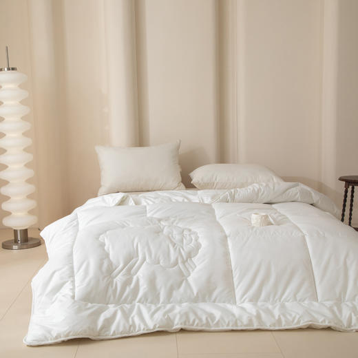 無印良品新西兰羊毛被MJ-B24-69 商品图1