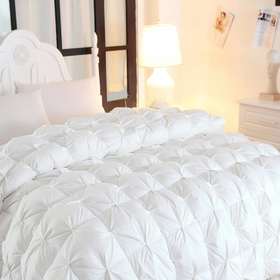 【春上新】10楼 恐龙 N11D/ N12D 柔赛丝面料95%大朵白鹅绒厚被 吊牌价6880-7280元 活动价2299-2699元