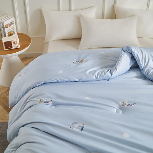 红豆恒温助眠冬被HD-DB250810 商品图5