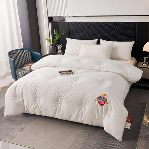 红豆太赫兹10A抗菌羊毛冬被HD-DB250809 商品图1