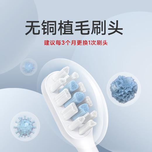 米家小米电动牙刷T302成人/学生 4种净齿模式 150天续航 4支刷头 商品图6
