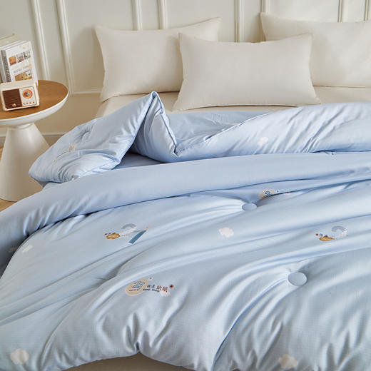 红豆恒温助眠冬被HD-DB250810 商品图3