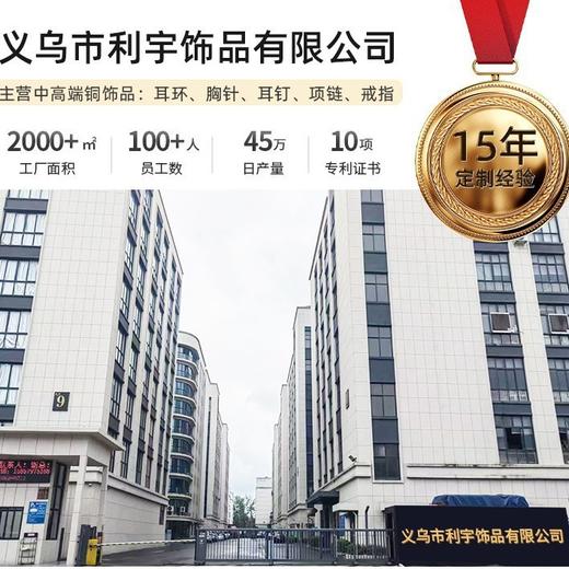 骏马本命年胸针高级感轻奢LY 商品图1