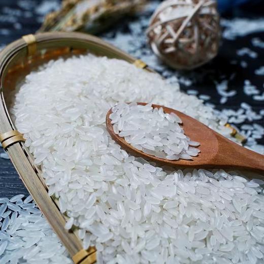 五常大米2025新米原粮稻花香2号执行标准GB/T19266五常基地直发5公斤真空包装 商品图4