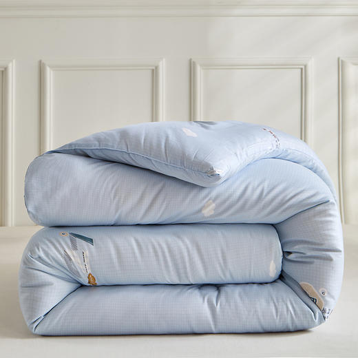 红豆恒温助眠冬被HD-DB250810 商品图9