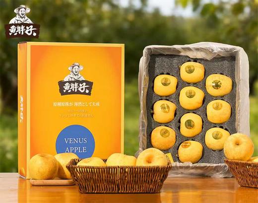 【黄胖子】黄金维纳斯苹果   脆甜多汁，风味十足！   ✅多项农残0检出，宝宝也可放心吃的好苹果 商品图2