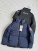 D110240国标90绒LAWRENCE系列立领拉链款羽绒服 商品缩略图2