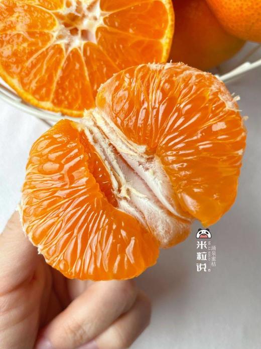 【涌泉蜜桔】国家地理标志产品 可带皮吃！更过瘾！皮薄无核 汁水爆多 闻名中外的无核蜜桔之乡！高山种植 物理除虫 不打腊-CC 商品图2