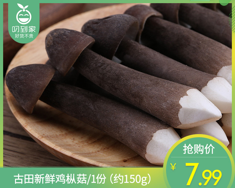 【叼鲜蔬】古田新鲜鸡枞菇/1份（约150g）