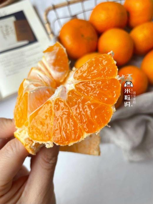 【涌泉蜜桔】国家地理标志产品 可带皮吃！更过瘾！皮薄无核 汁水爆多 闻名中外的无核蜜桔之乡！高山种植 物理除虫 不打腊-CC 商品图4