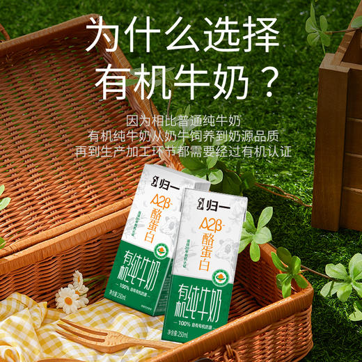 归一A2酪蛋白有机纯牛奶250ml*10瓶*2箱 商品图1