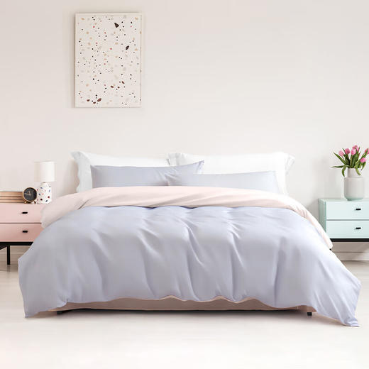 水星家纺 磨毛纯色AB版四件套 床单款 200cm×230cm/套 商品图0