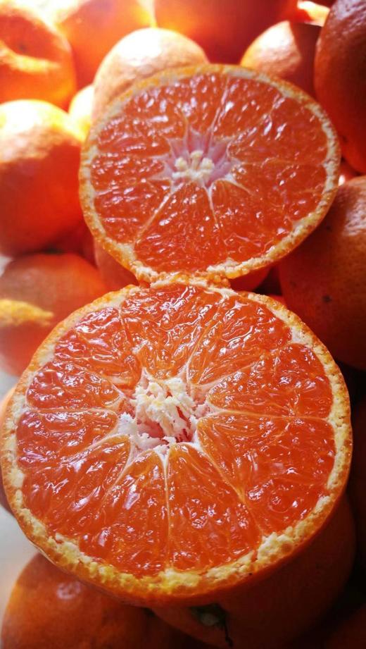 【涌泉蜜桔】国家地理标志产品 可带皮吃！更过瘾！皮薄无核 汁水爆多 闻名中外的无核蜜桔之乡！高山种植 物理除虫 不打腊-CC 商品图11