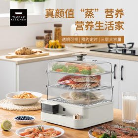 康宁多功能电蒸锅WK-HZG8004/KZ