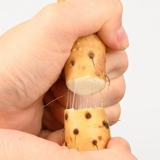 [最农公社]年货节|顺丰主推|河南温县垆土地铁棍山药净重5斤新鲜营养现挖现发 商品图1