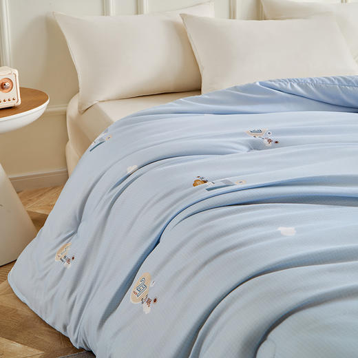 红豆恒温助眠冬被HD-DB250810 商品图8