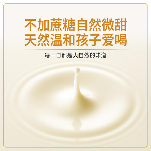 蒙北天然植物奶粉1罐600g（30g*20袋） 商品图4