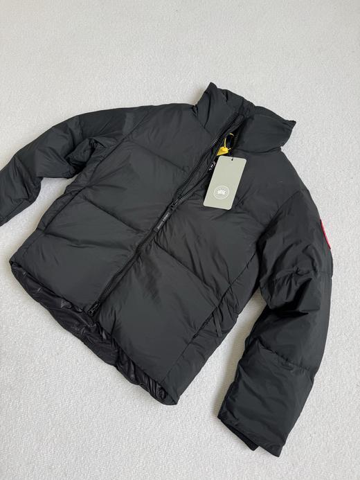 D110240国标90绒LAWRENCE系列立领拉链款羽绒服 商品图7