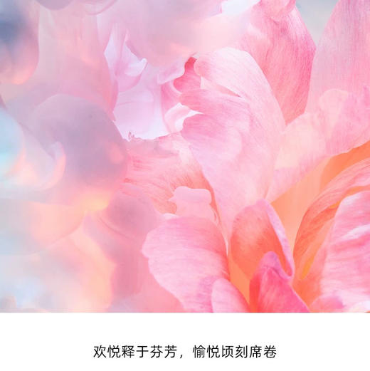 法国 Dior迪奥 悦之欢清新花香女士淡香水 50ml/90ml 商品图2