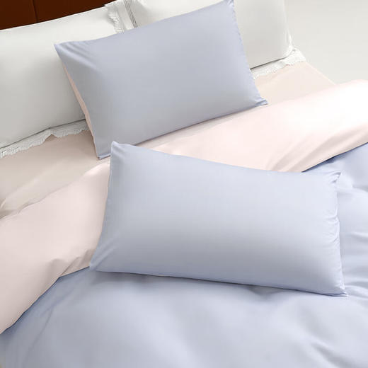 水星家纺 磨毛纯色AB版四件套 床单款 200cm×230cm/套 商品图4