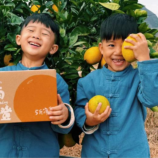 生态赣南脐橙 （限时95折））|合作生产*Ecological Gannan navel orange| Partner Production 商品图3