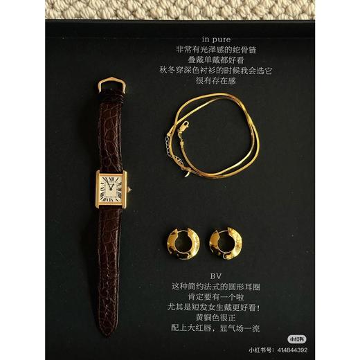 B&V圆形极简耳环 商品图6