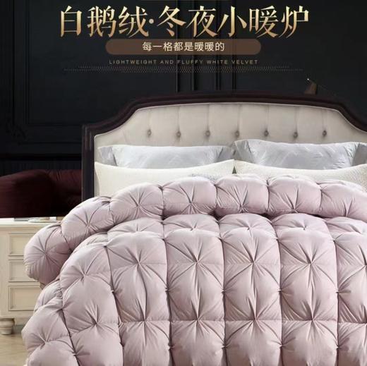 10楼 恐龙 N11D /N12D柔赛丝面料95%大朵白鹅绒厚被 吊牌价6880-7280元 活动价2299-2699元 商品图1