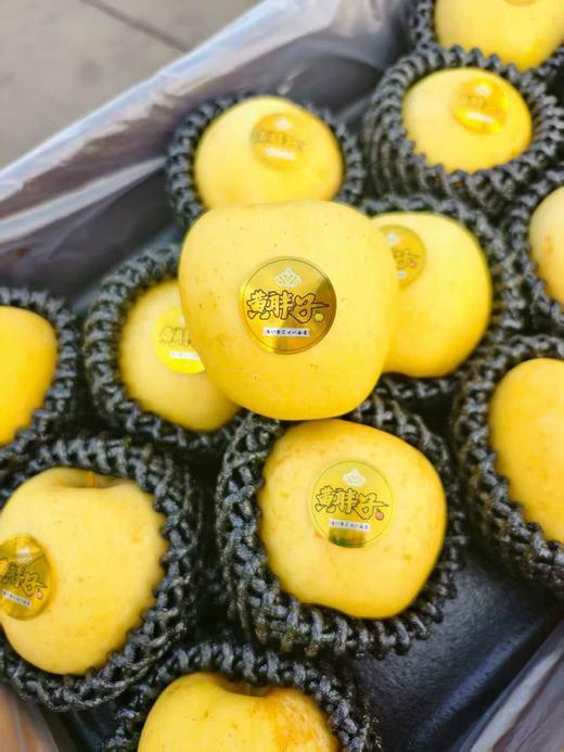 【黄胖子】黄金维纳斯苹果   脆甜多汁，风味十足！   ✅多项农残0检出，宝宝也可放心吃的好苹果 商品图6