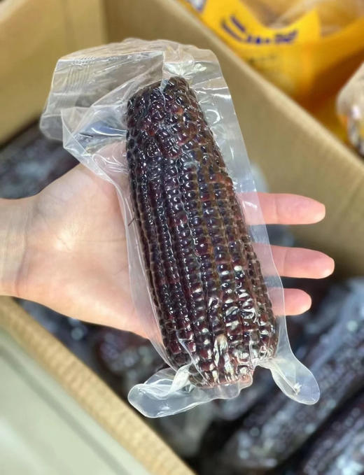 巧克力玉米（2.3千克） 商品图2