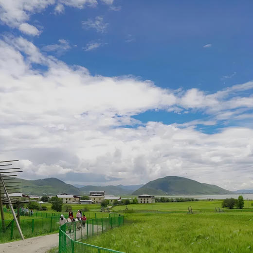 2晚【香格里拉墅家嗡嘛措】2026春节、五一可用！毗邻香格里拉高山植物园，住进远离市区喧嚣的藏式土司庄园，领略传统藏文化的独特魅力，更多体验等你来解锁~ 商品图12