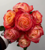 厄瓜多尔进口原色Cabaret卡巴莱歌舞厅玫瑰鲜切花10枝 商品缩略图0