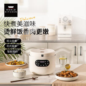 康宁电饭锅WK-GFB3018/KZ