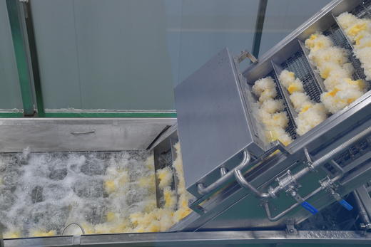 国家地理标志产品，官方伴手礼丨通江即食生鲜银耳，胶质浓稠五倍 商品图1