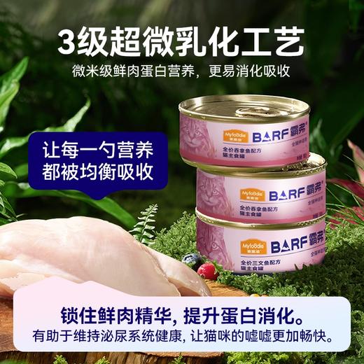 麦富迪猫罐头Barf罐头生骨肉营养增肥发腮主食罐100g*6罐 商品图2