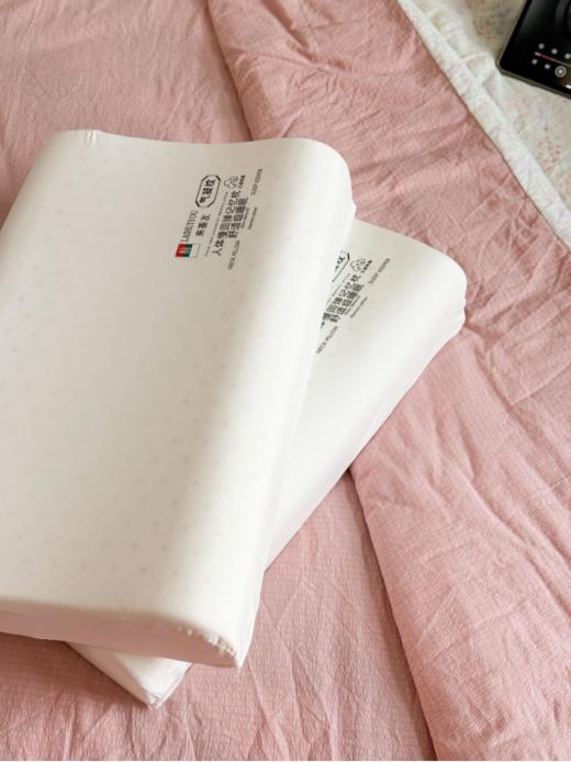 💥侧睡，入睡难，睡眠浅的人群看过来！⭐五星酒店同款！【零压力人体工学慢回弹记忆枕】🍂经过无数次的顾客反馈体验‼️ 天然乳胶枕平替⭕️快捷酒店的价格！五星酒店的享受！ 商品图0