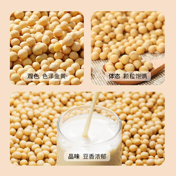 燕之坊有机黄豆500g 黑龙43黄豆 打豆浆儿童早餐杂粮 /粮油调味 /杂粮 /杂豆类 商品图1