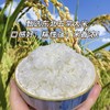 五常大米，原粮稻花香2号，口感好，香味浓，原产地直发 商品缩略图1